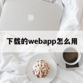 下载的webapp怎么用(web文件下载)