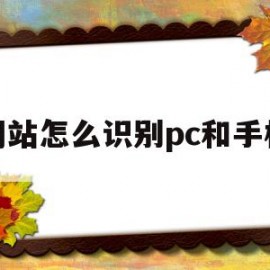 网站怎么识别pc和手机(网站怎么识别pc和手机连接)