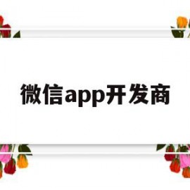 微信app开发商(微信的开发商是什么公司?)