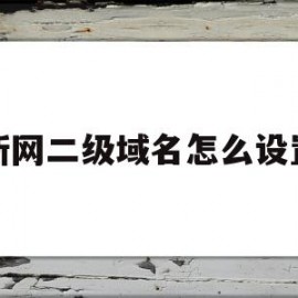 新网二级域名怎么设置(新网二级域名怎么设置密码)