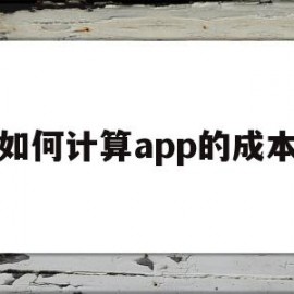 如何计算app的成本(如何计算app的成本价格)