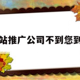 网站推广公司不到您到您(网络公司做的推广没有效果到哪投诉)