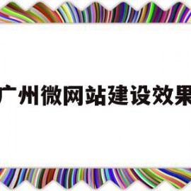 广州微网站建设效果(广州网站建设解决方案)