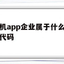 手机app企业属于什么行业代码(手机app属于什么产品)