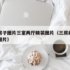 装修房子图片三室两厅精装图片（三房两厅的装修图片）