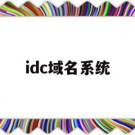 idc域名系统(idc行业与域名解析)