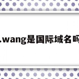 .wang是国际域名吗的简单介绍