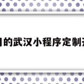 常用的武汉小程序定制开发(武汉微信小程序开发公司哪家好?)