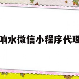 包含响水微信小程序代理的词条