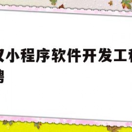 武汉小程序软件开发工程师招聘(武汉小程序软件开发工程师招聘网)