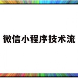 微信小程序技术流(微信小程序技术流程是什么)