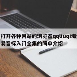 能打开各种网站的浏览器qqliuqi海论超易音标入门全集的简单介绍