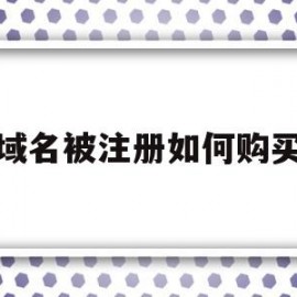 域名被注册如何购买(域名被注册了加什么比较好)