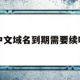 中文域名到期需要续吗(中文域名续费多少钱一年)