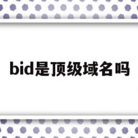 bid是顶级域名吗(顶级域名biz表示什么)