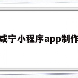 咸宁小程序app制作(咸宁小程序app制作公司)