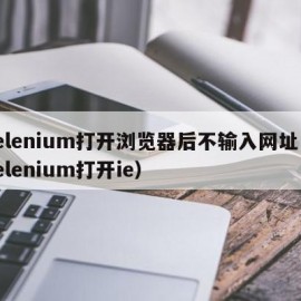 selenium打开浏览器后不输入网址（selenium打开ie）