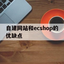 自建网站和ecshop的优缺点的简单介绍