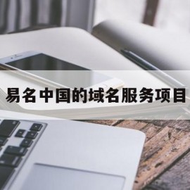 易名中国的域名服务项目(易名中国的域名服务项目是什么)