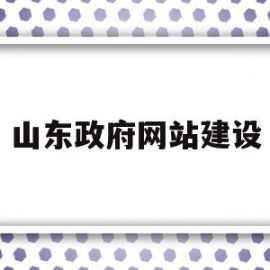 山东政府网站建设(山东省政府网站网址)