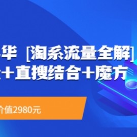 流量嘉年华 [淘系流量全解]系列课：免费流量+直搜结合+魔方（价值2980）