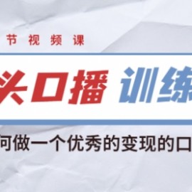 宪哥的镜头口播训练课：如何做一个优秀的变现的口播人（34节视频课）