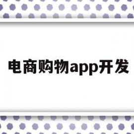 电商购物app开发(电商购物app开发公司)