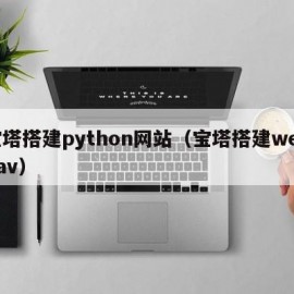 宝塔搭建python网站（宝塔搭建webdav）