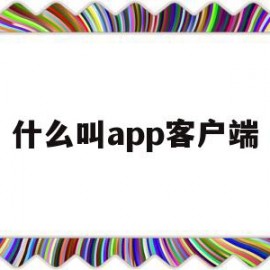 什么叫app客户端(什么叫app客户端软件)