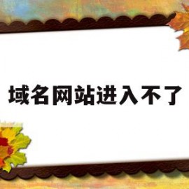 域名网站进入不了(大家懂的域名怎么进不去了)