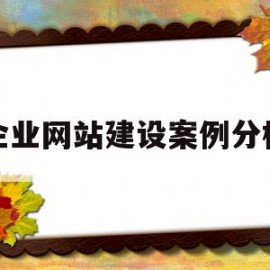 企业网站建设案例分析(企业网站建设案例分析怎么写)