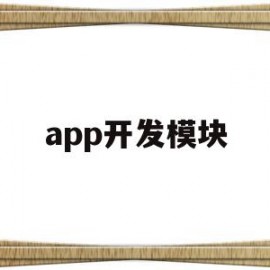 app开发模块(app开发demo)