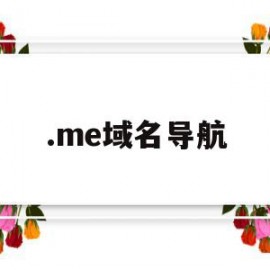 .me域名导航(导航域名是什么意思)