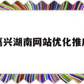 嘉兴湖南网站优化推广(嘉兴南湖区高端网站设计优化建站)