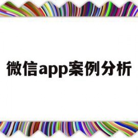 微信app案例分析(微信app案例分析报告)