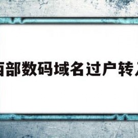 西部数码域名过户转入(西部数据域名转出)