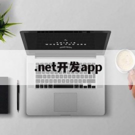 .net开发app(net开发app教程)