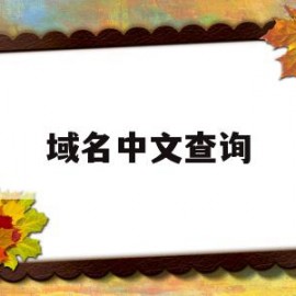 域名中文查询(中文域名查询信息)