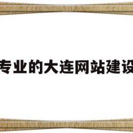 专业的大连网站建设(专业的大连网站建设有哪些)