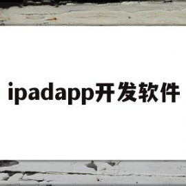 ipadapp开发软件(ipad 开发软件)