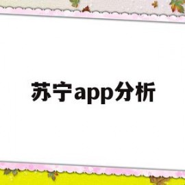 苏宁app分析(苏宁易购平台分析)