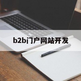 b2b门户网站开发(b2b门户网站有哪些)