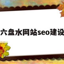 六盘水网站seo建设(六盘水网络科技公司排名)