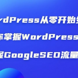 WordPress从零开始外贸建站：让你掌握WordPress建站 掌握GoogleSEO流量获取