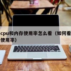 电脑cpu和内存使用率怎么看（如何看电脑内存使用率）