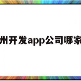 广州开发app公司哪家好(广州app开发公司哪家好一点)