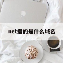 关于net指的是什么域名的信息