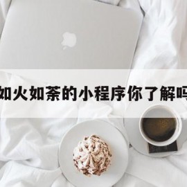 如火如荼的小程序你了解吗(如火如荼的小程序你了解吗是什么)