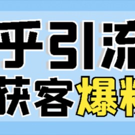 2022知乎引流+无脑爆粉技术：每一篇都是爆款，不吹牛，引流效果杠杠的