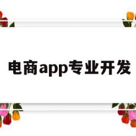 电商app专业开发(电商app专业开发方案)